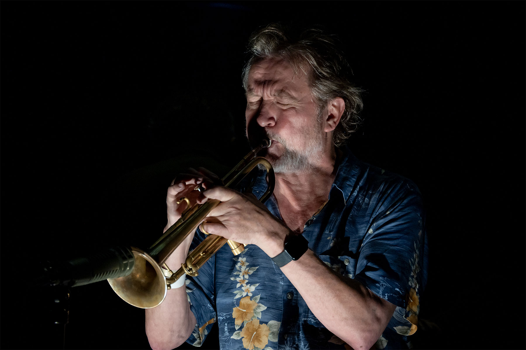 Fem dagar av världsjazz i Ystad